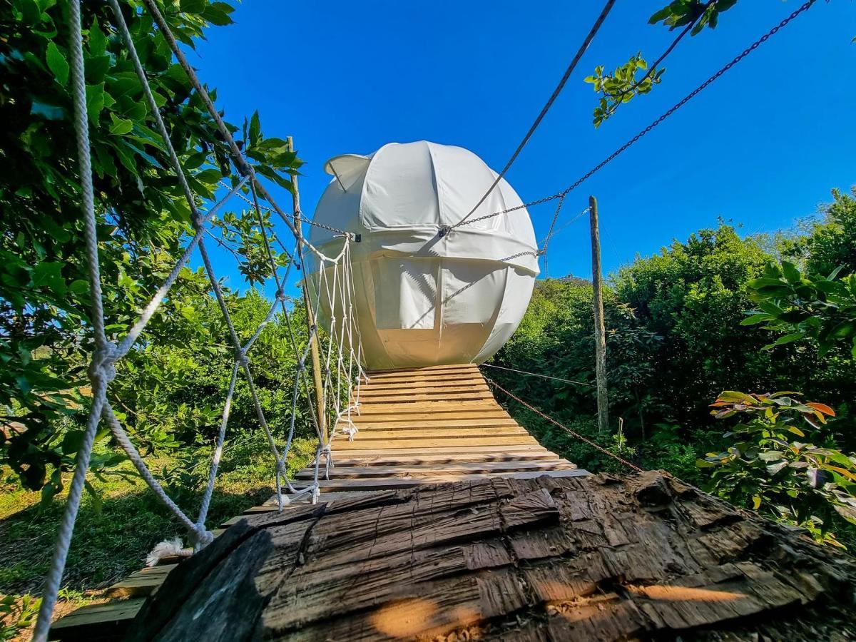Villa Quinta Do Abacate - Glamping Park Angra do Heroísmo Exterior foto