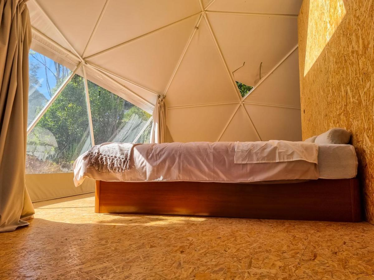 Villa Quinta Do Abacate - Glamping Park Angra do Heroísmo Exterior foto