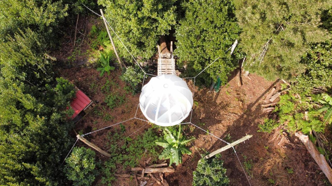 Villa Quinta Do Abacate - Glamping Park Angra do Heroísmo Exterior foto